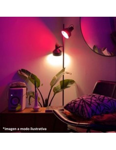 LAMPARA LED LEDVANCE SMART WIFI  6W FILAM GLOBE RBG 2