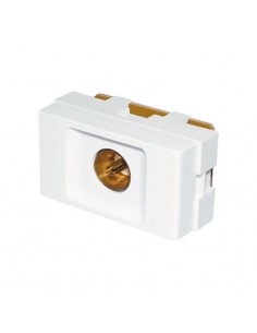 MODULO JELUZ VERONA TV PASANTE 20013 ARMADO