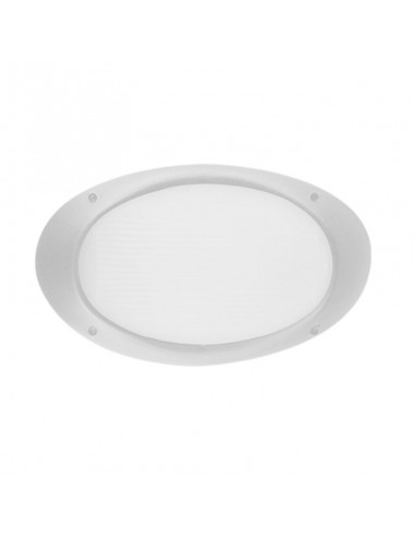 TORTUGA OVAL POLIPROPILENO LISA ARO ALTO BLANCO