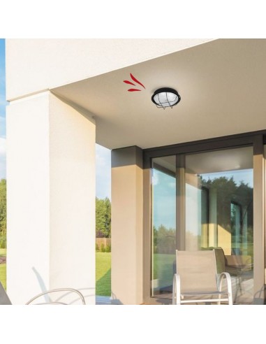 TORTUGA CHAPA REDONDA CHICA E27 NEGRO Ø 18CM