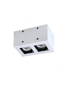 PLAFON BOX LINEAL CARDANICO DICRO GU10 2 LUCES BLANCO