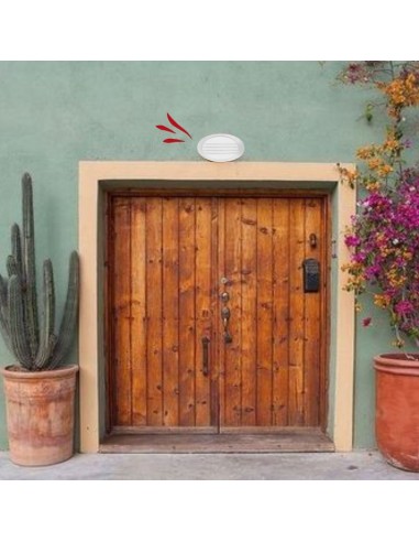 TORTUGA OVAL POLIPROPILENO C/ REJA ARO ALTO...