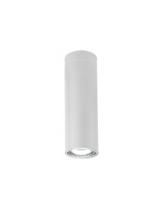 PLAFON AR111 1 LUZ  ARO LARGO BLANCO