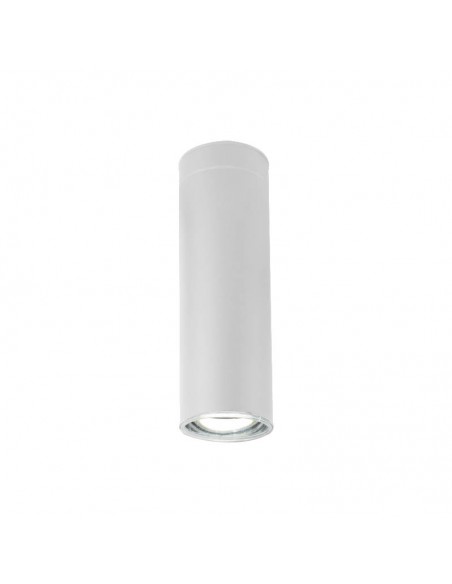 PLAFON AR111 1 LUZ  ARO LARGO BLANCO