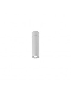 PLAFON DICRO 1 LUZ ARO CORTO BLANCO