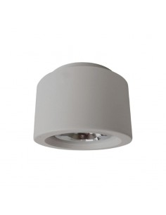SPOT MONOVOLUMEN AR111 FIJO PLATIL