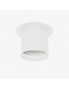 PLAFON AR111 1 LUZ REDONDO BLANCO CHAPA