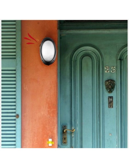 TORTUGA OVAL POLIPROPILENO LISA ARO ALTO NEGRO E27