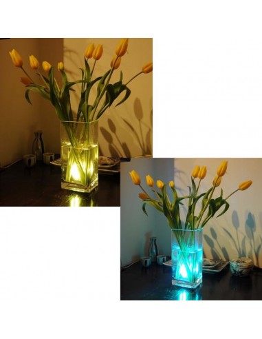 LUZ LED SUMERGIBLE RGB A PILAS AAX3