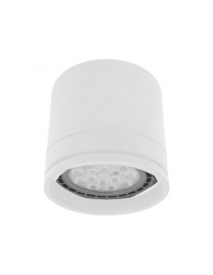 PLAFON AR-111 CILINDRICO ALUMINIO 3010/P BL TEXT