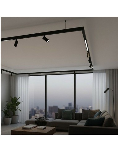 RIEL MAGNETICO LUCC CABEZAL NG 10W 100MM D45 24º